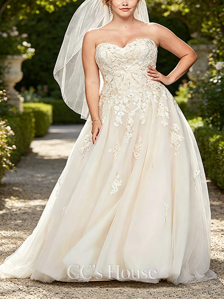 Artistic Embroidered Lace Applique Ball Gown Wedding Dress