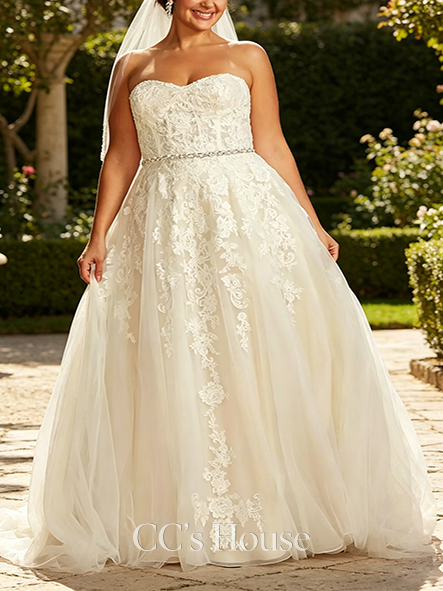 Transparent Sheer Lace and Tulle Ball Gown Wedding Dress